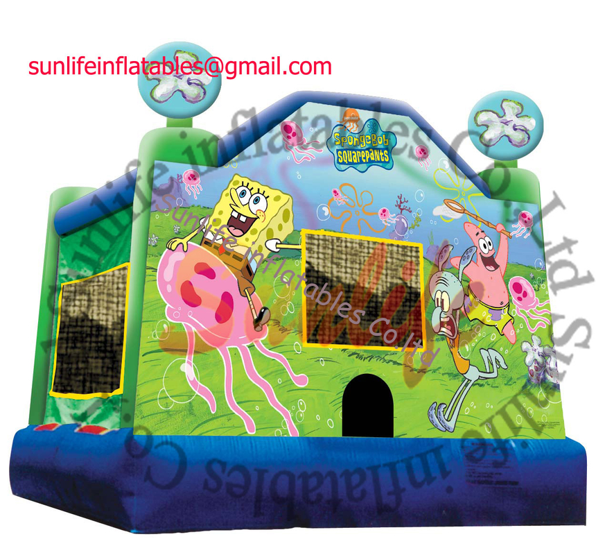 Toddler Inflatable Princess Bouncy Castle With Fire Retardant And Waterproof